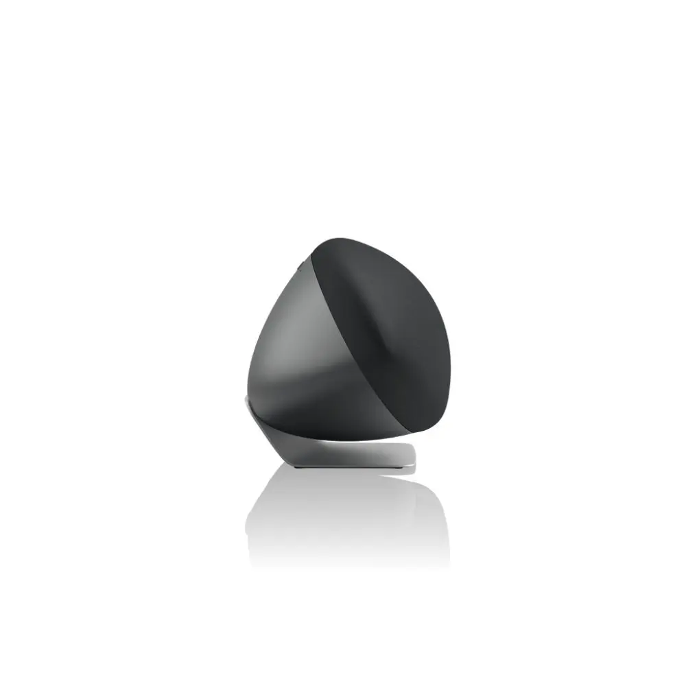 Bowers & Wilkins Zeppelin Pro Edition_2